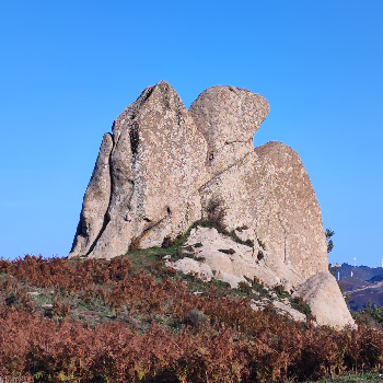 Megaliti dell'Argimusco e Bosco di Malabotta