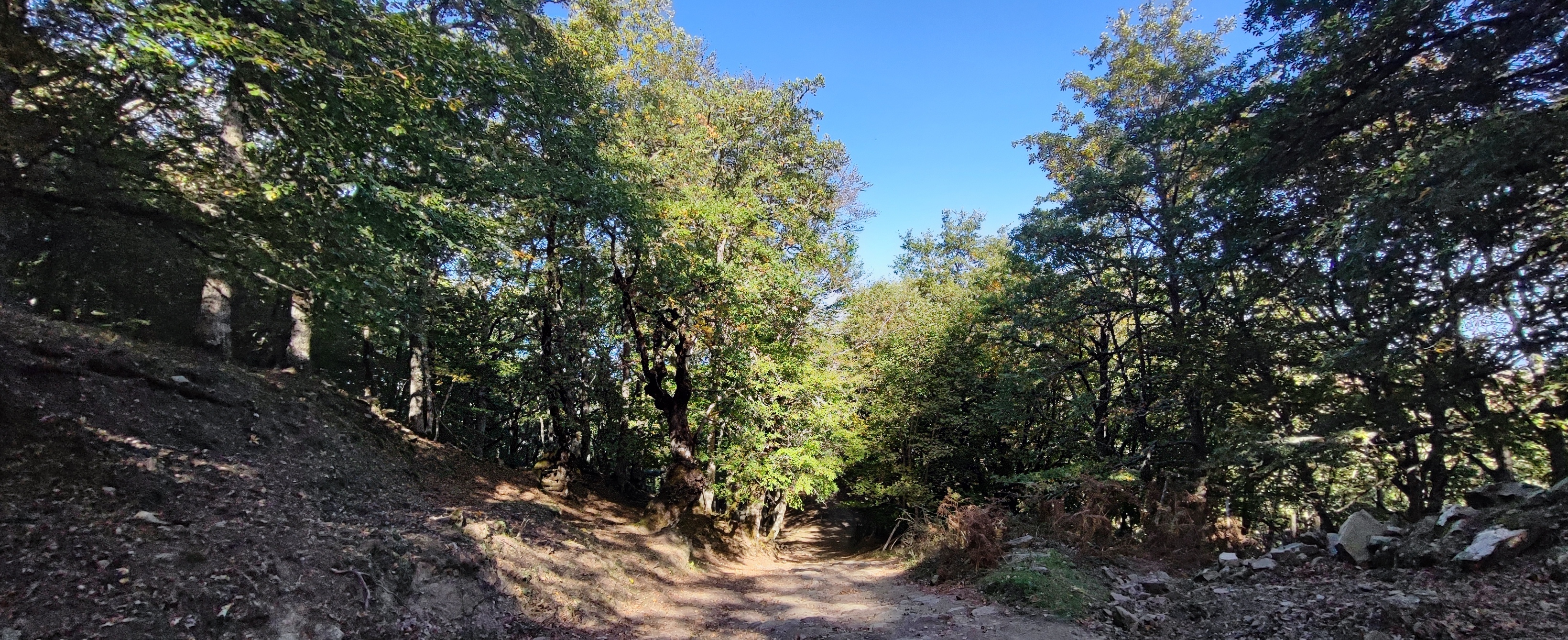 Argimusco e Bosco di Malabotta